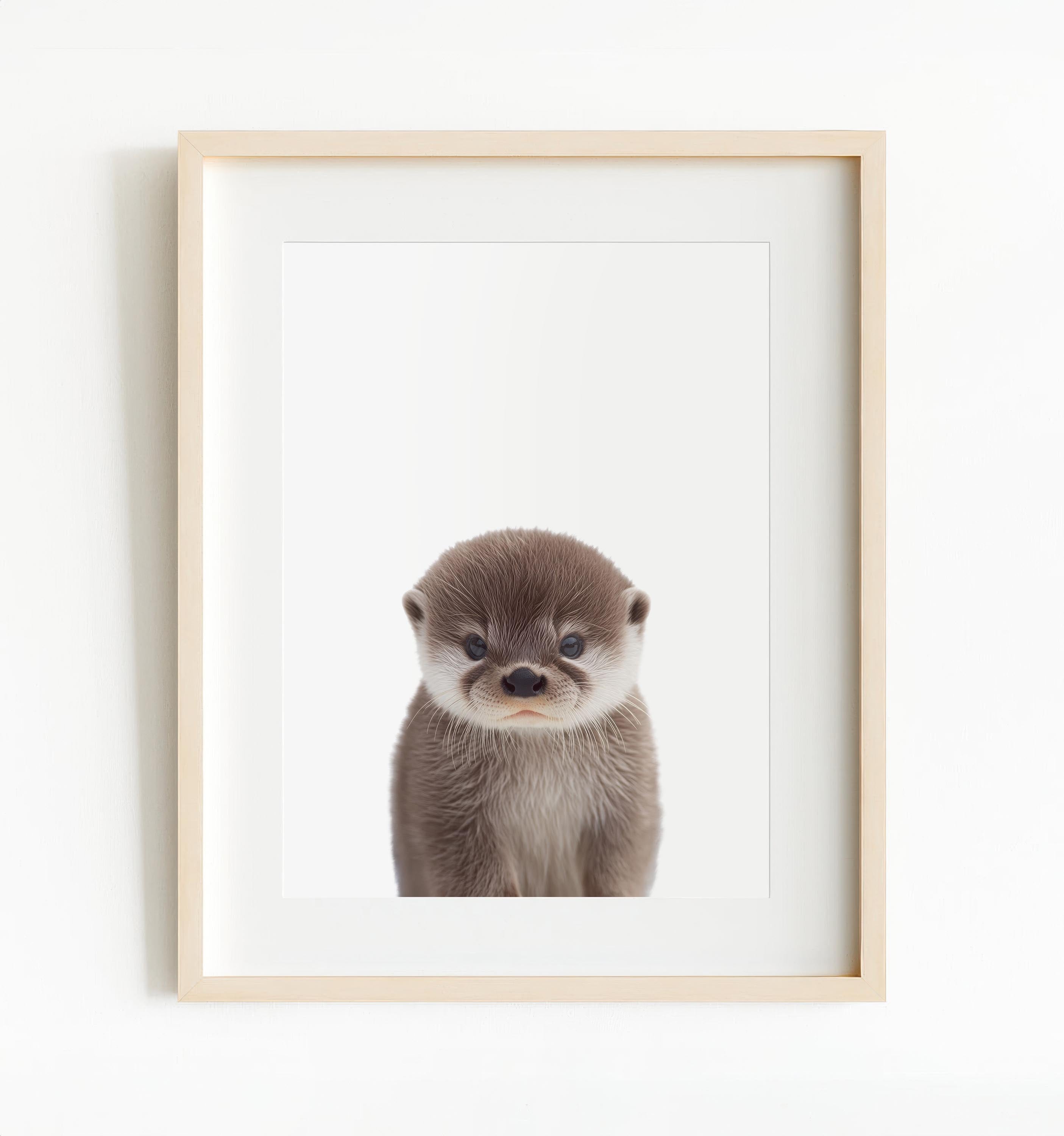 Baby Otter