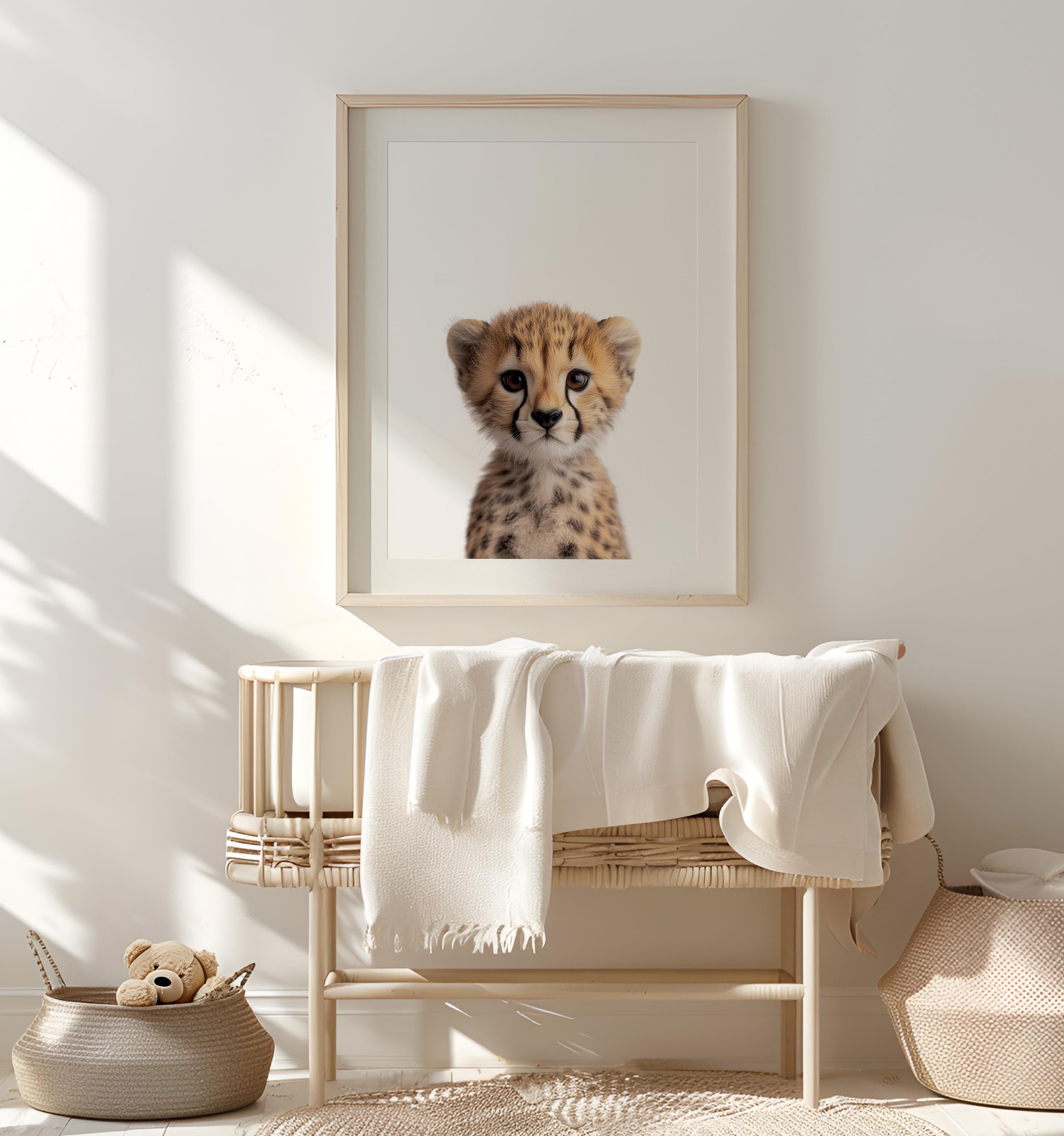 Baby Cheetah