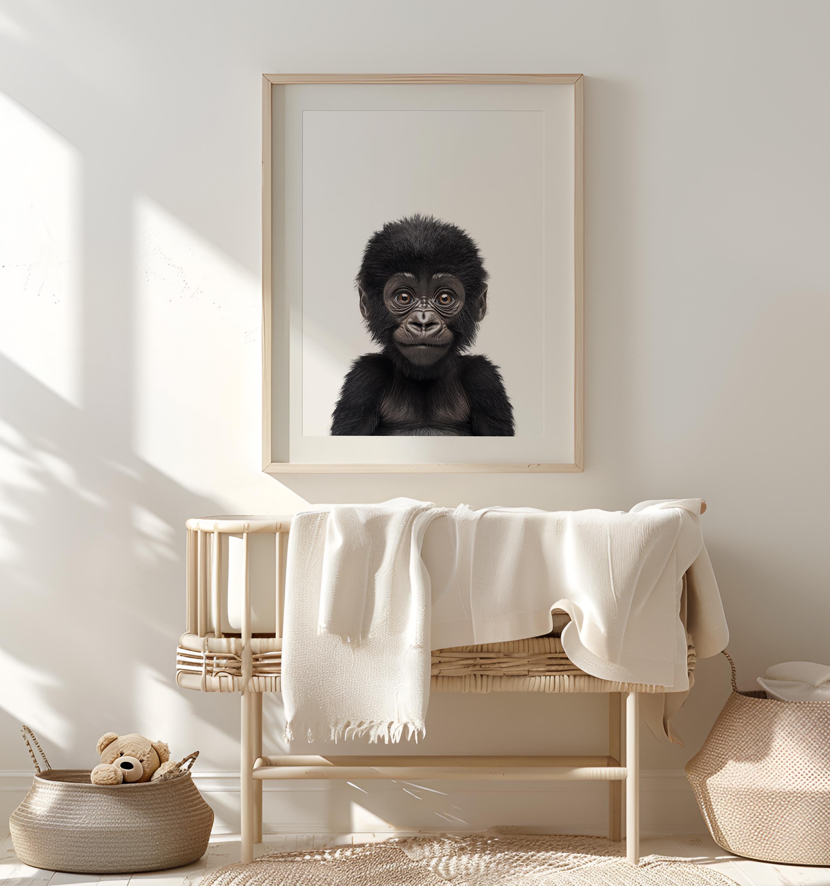 Baby Gorilla
